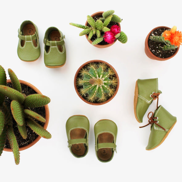 the mary jane: cacti