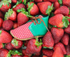 the oxford: strawberry