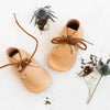 the oxford: cashew