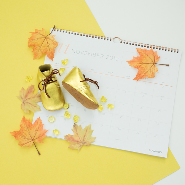 the oxford: citrine